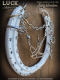 A SWALLOWS PROMISE - LUCKY HORSESHOE
